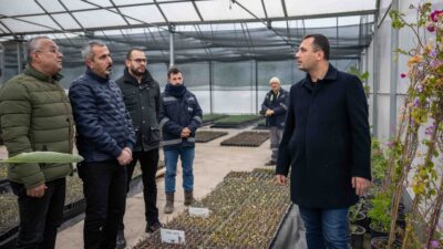 Bornova Belediyesi, 2026 yılı peyzaj hedefleri kapsamında Pınarbaşı'ndaki fidanlığında üretime