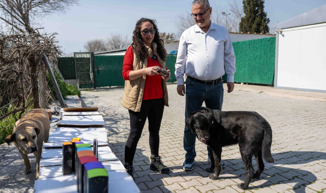 Hayvan sağlığı alanında faaliyet gösteren General Veteriner İlaçları isimli firma
