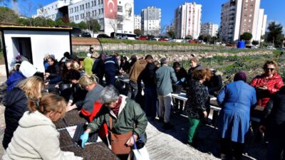 Bornova Belediyesi’nin Evka 4 Kent Bostanı’nda kadın üreticiler, yerel tohum