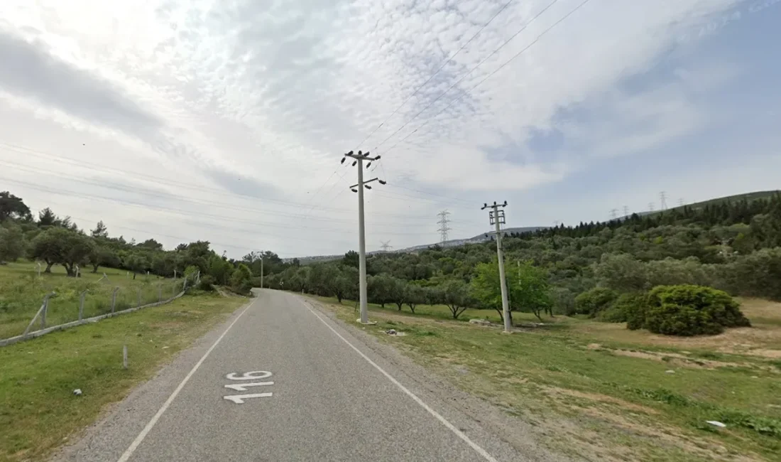 Çevre, Şehircilik ve İklim Değişikliği Bakanlığı tarafından Bornova Erzene Mahallesi'nde