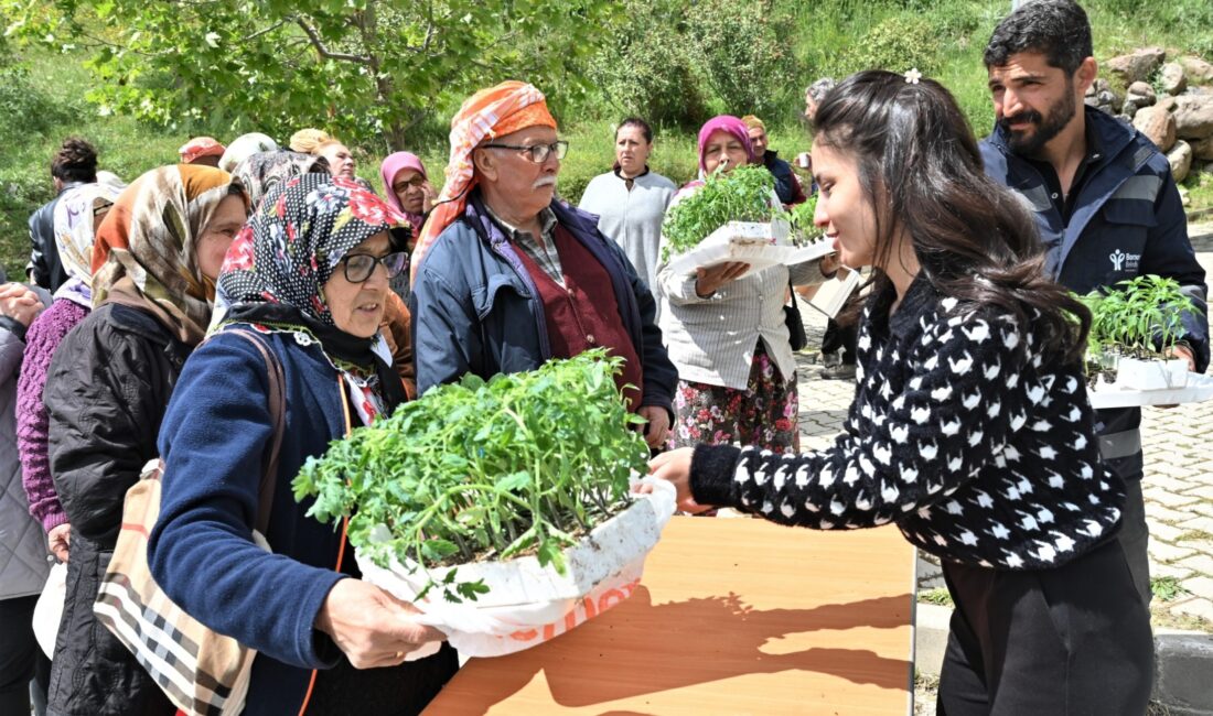 Bornova Belediyesi, ilçedeki 12 kırsal mahallede üreticilere domates, biber ve