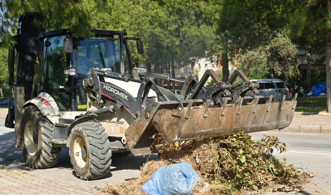 Bornova Belediyesi Park ve Bahçeler Müdürlüğü, yaz aylarının yaklaşmasıyla birlikte